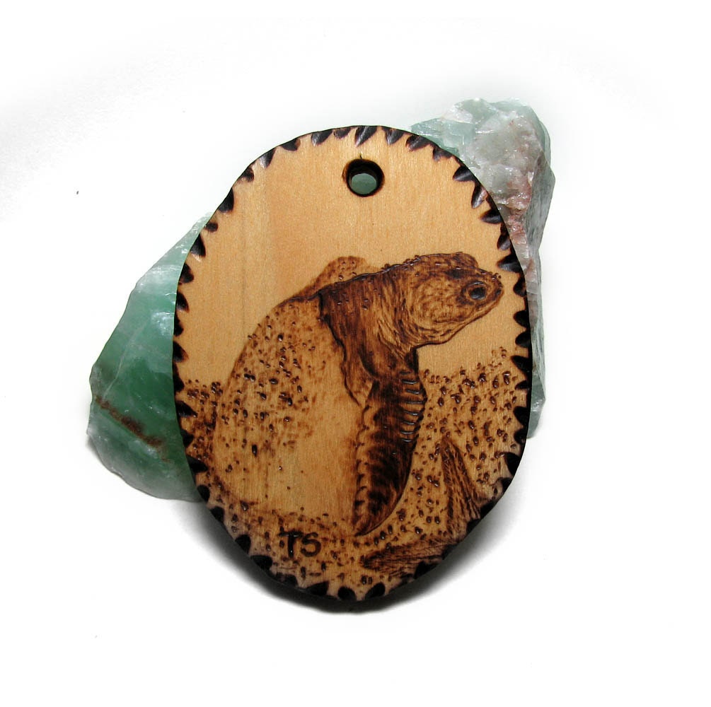 Loggerhead baby pendant by Tanja Sova