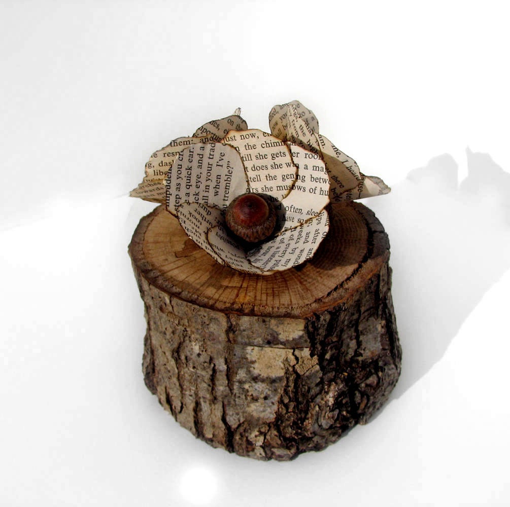 Jane Eyre Acorn 27 y/o Branch Rustic Natural Oak Quercus Wooden Ring Trinket Box by Tanja Sova