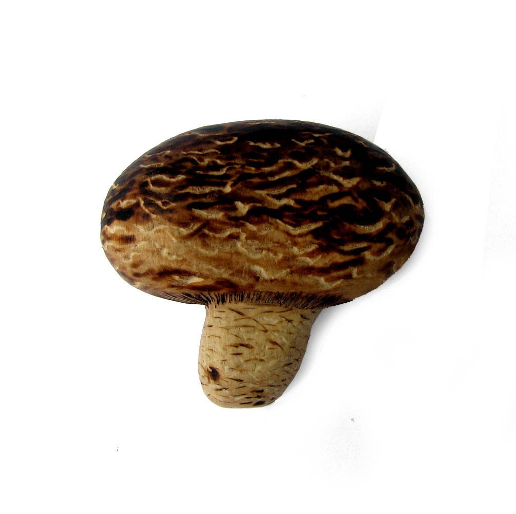 Fine Art Fungi Shiitake Lentinula edodes Basidiomycota Mushroom Brooch - Pin Pyrography Wood Carving by Tanja Sova