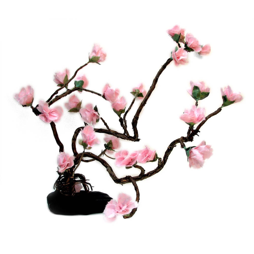 Love Enchanted Sakura Gnarl Bonsai - Prunus serrulata - by Tanja Sova