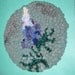 Bluebonnet Hooked Mat Texas Wildflower - Mug Mat -Trivet- flameless candle mat Upcycled Wools