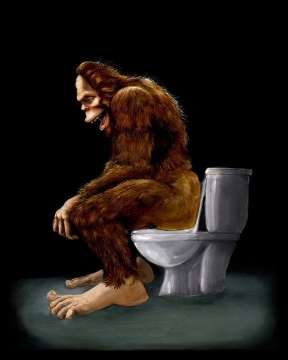 Bigfoot breaks into some Dude's Cabin and Totally takes a fat Dump in his toilet 11x14 fine art print