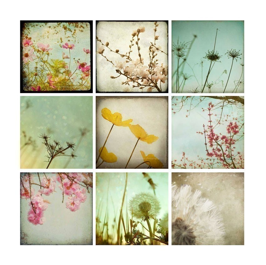 Flowers & Dandelion Photography Collection, girl baby nursery prints, feminine, photo, vintage inspired wall art. shabby chic  - Nine 4x4