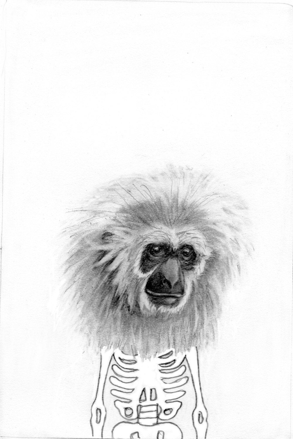 A little gibbon take