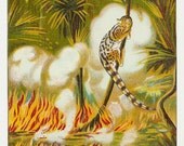 Old Fabric Textile Paper LABEL England CAT In FIRE