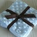 DESTASH SALE 2 8 inch Minky Minkee Dot Baby Blue Fabric Squares for rag quilting or traditional quilts
