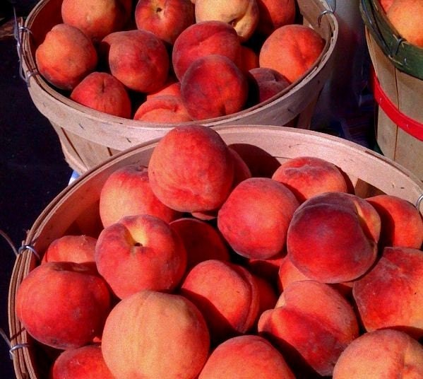 5x7 Peaches Fine Art Print