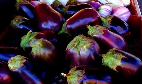 5x7 Aubergine Fine Art Print