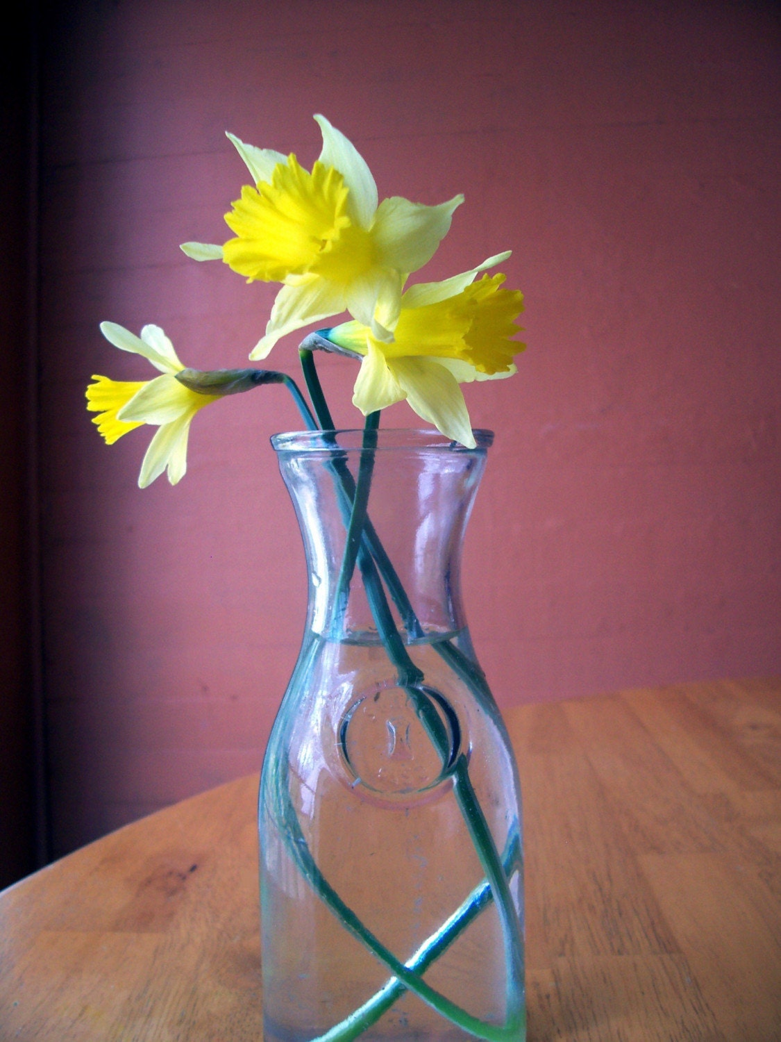Photo. Trio Jaune-Yellow Trio.