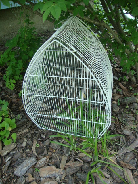 domed shabby painted wire birdcage