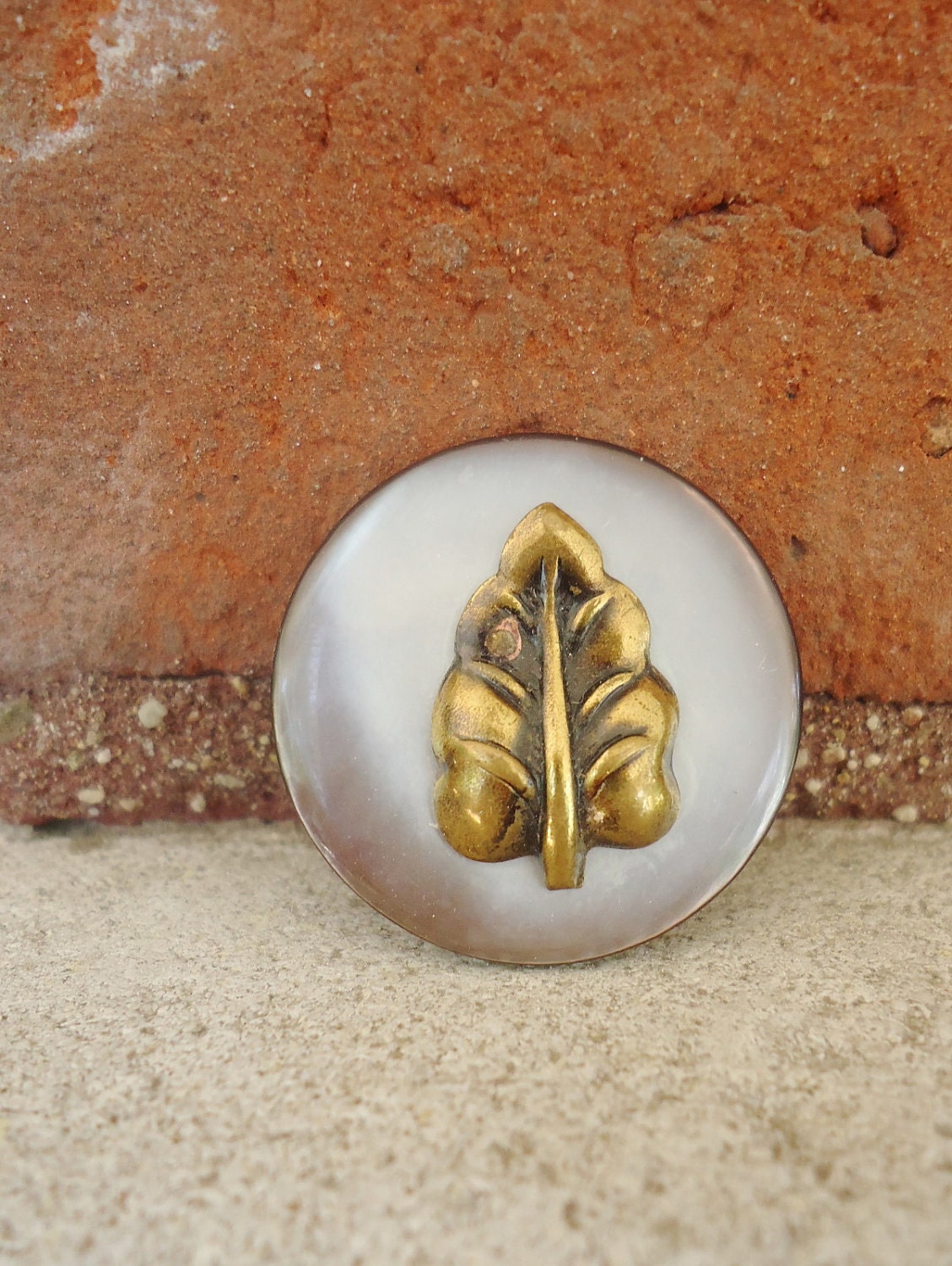 6 pc set leaf buttons - vintage mother of pearl with brass leaves - mop shell