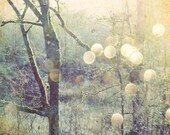 Woodland Photograph - Sage green gold olive decor - tree wall art - nature photography - sun flare sparkly bokeh - 8x8 - Into the Mystic