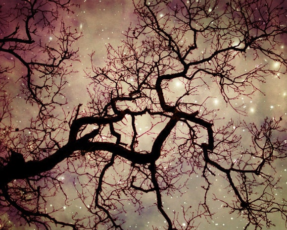 Tree photography - Plum Mauve Decor - Starry night sky - Fine Art Photograpy stars universe woodland art photograph 8x10 print - LupenGrainne