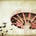 Surreal Photography Faded Carnival photography Dreamy coral red lights photo dream vintage style tan beige ride cirque old world blur  8x10
