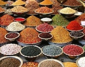 Indian Spices - 8x10 Fine Art Print