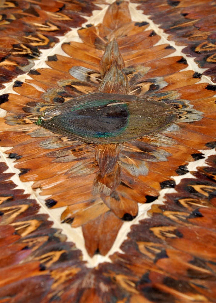 vintage peacock feather clutch