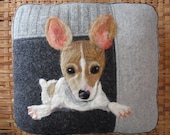Taking Custom Orders-Personalized Needle Felted Pet Pillows or Wall Hangings made from Recycled Sweater Fabric
