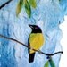 Bird on a Limb - Beautiful Needle Felted Handpainted and Stitched Silk Scarf