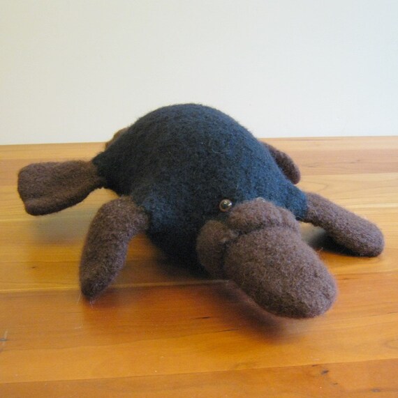 platypus stuffed