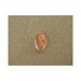 Sun Stone Shiller