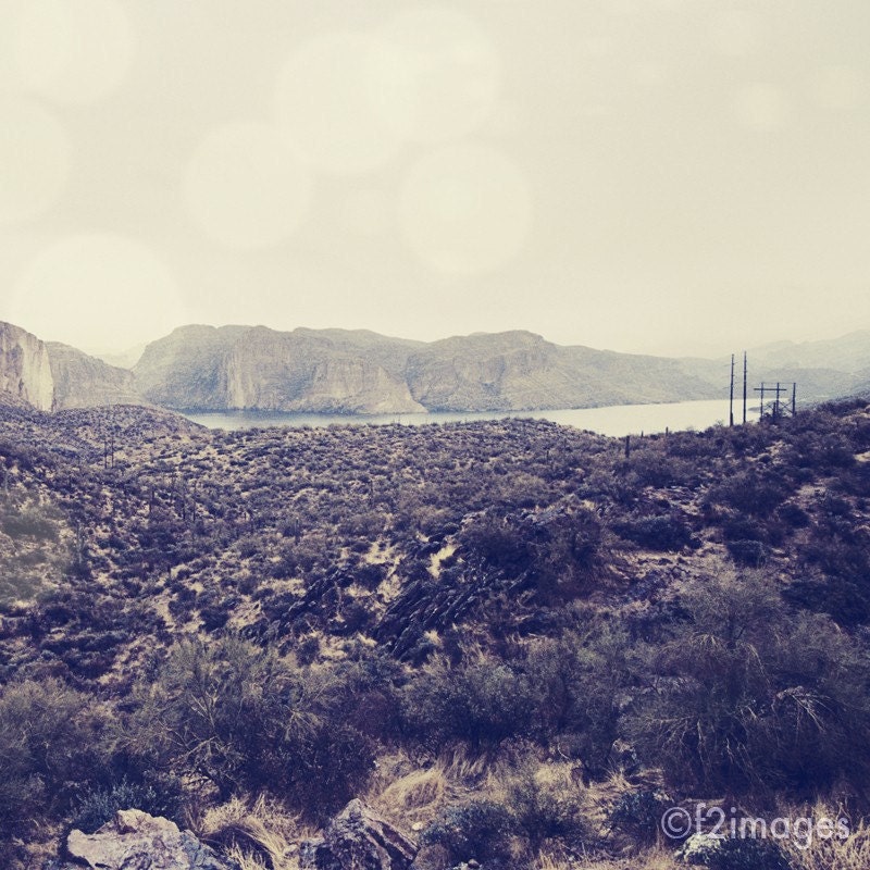 8x8 Arizona
