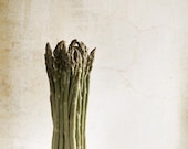 8x10 Asparagus Family - f2images