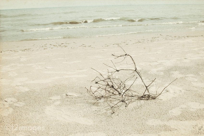 8x12 Branch