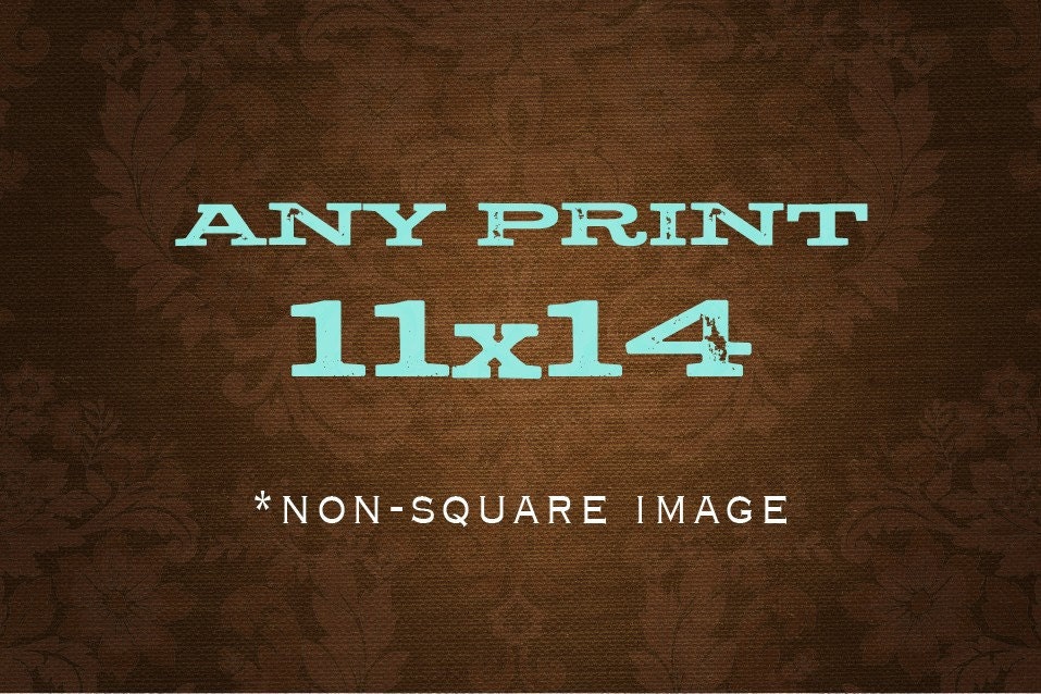 Any 11x14 Print