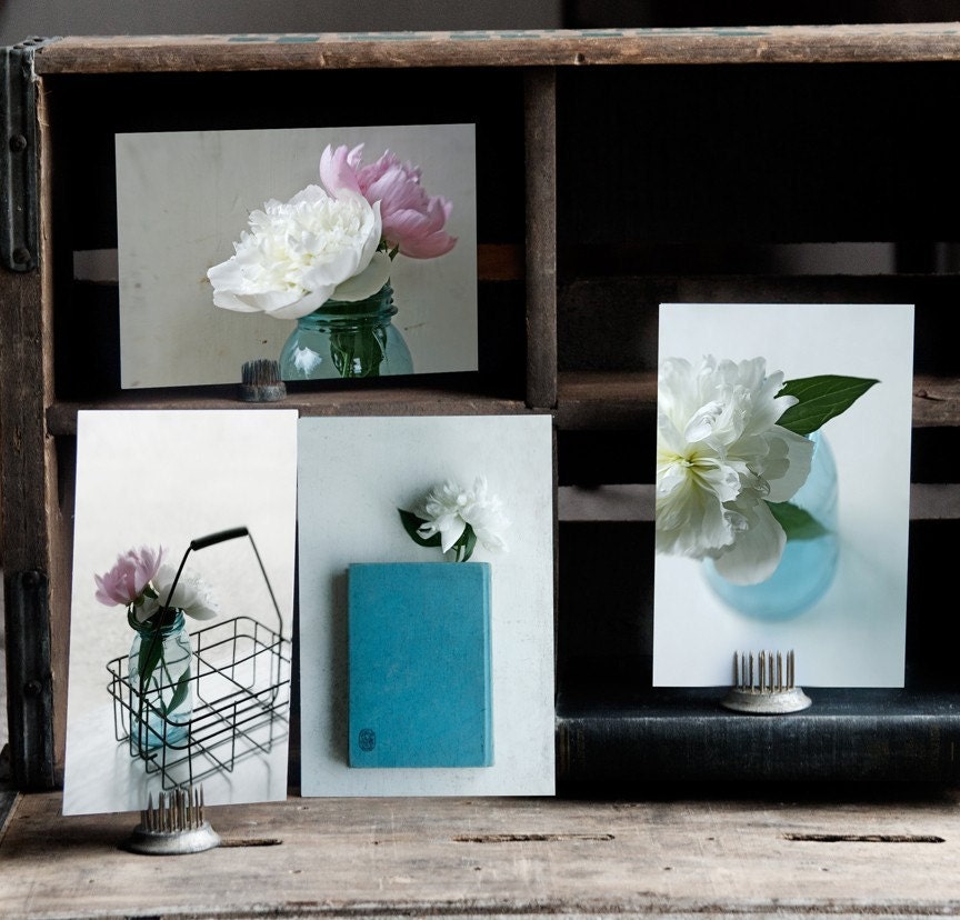 Peonies Postcard Set