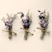 natural keepsake boutonniere 'willow garden'
