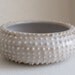 SALE Porcelain Urchin Bowl, Medium