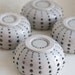 Black Spotted Urchin Cup,  Blue Interior, Porcelain, 1 cup