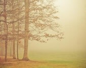 Woodland nature art . Set of Four 5x5 Photographs - rustic home decor -fog . tree photograph . print collection . Was it all a Dream