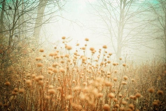 landscape .dreamy modern home decor . rustic nature photography .tan blue gray mint green . 11x14 . nursery  . I Dreamt of a Foggy Morning