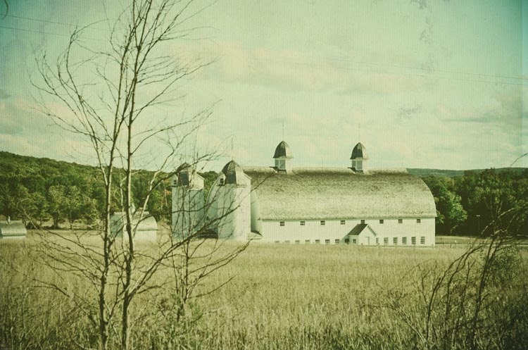 architectural vintage barn photography . cottage chic art . nature photography . shabby chic home decor . Vintage Rural Dream
