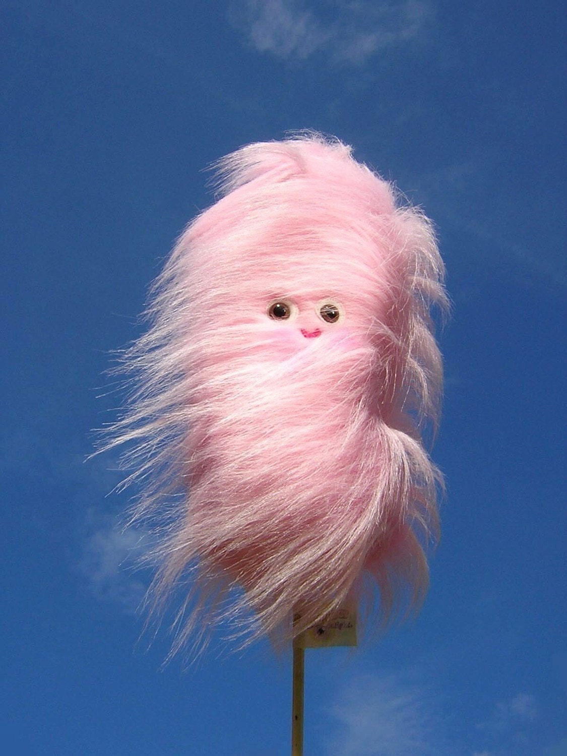 One Cotton Candy...
