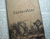 Alice in wonderland Curious Tea Party Pocket moleskine cahier