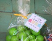 The FIESTA Collection - Fantastic Favor Tags with Bags from Mary Had a Little Party