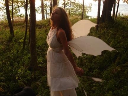 Custom Faerie Wings for your Wedding (Larger) By Renae Taylor