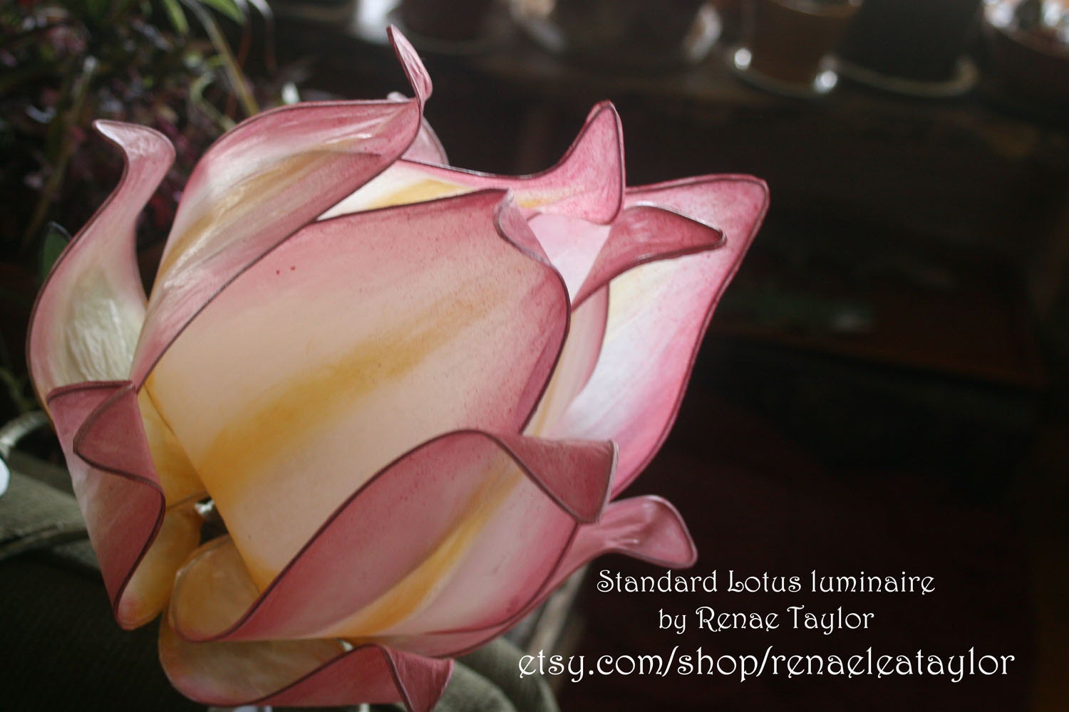 PINK Standard Lotus Luminaire (Lamp) By Renae Taylor