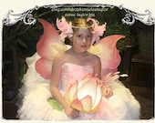 Medium Pink Yellow Wings by Renae Taylor