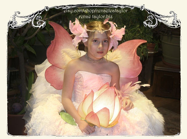 Medium Pink Yellow Wings by Renae Taylor
