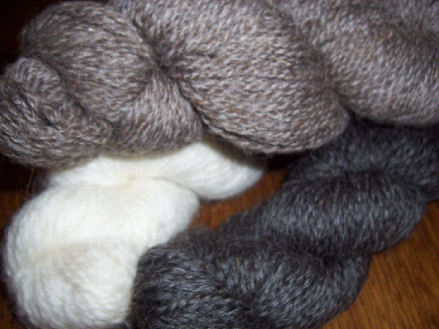 12 Skeins Montana Wool Twisted Fiber CSA   Shearing 2013