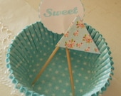 Aqua Cupcake kit star polka dot baking cups liners with sweet and shabby roses picks toppers ECS