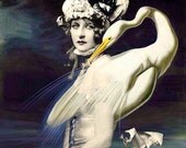Fine Art Print, Giclee Archival Print, Photomontage, Collage, Painted Photographs, The Day Of The Swan Fine art giclee print