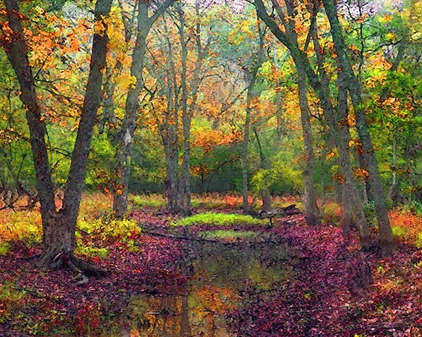 Autumn Landscape, Fall Landscape, Forest, Water, Pond, Trees, Landscape, Nature Photograph, Fine Art Painted Photograph, Giclee Print