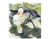 Art Watercolor Painting Swan Animal Kids Women Nature Woodland Water Creature Bird  7.6 x 9.6 Under 25