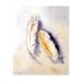 Feather, Bird, Art, Original, Watercolor, wildlife, soft, earth tones, Fall colors, Wall Decor, Neutral Colors