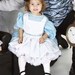 Alice In Wonderland Tea Party Dress and Slip Combo