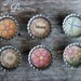 Bottle Cap Magnets - Flowers, Spring, Summer, Dragonfly, Set of 6
